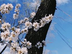 -颐和园