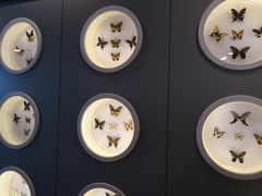 -下渚湖国家湿地公园科普馆