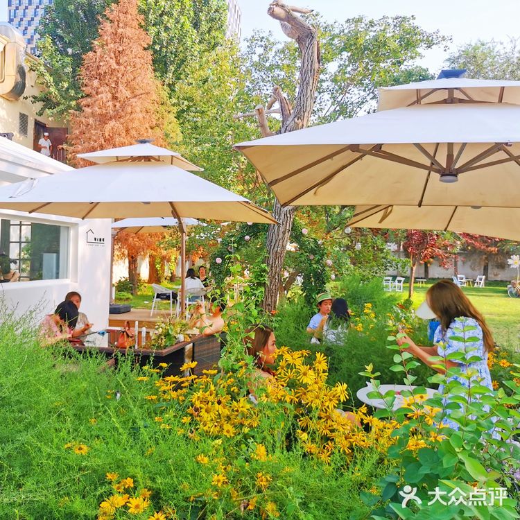 发呆一下午，出片300张