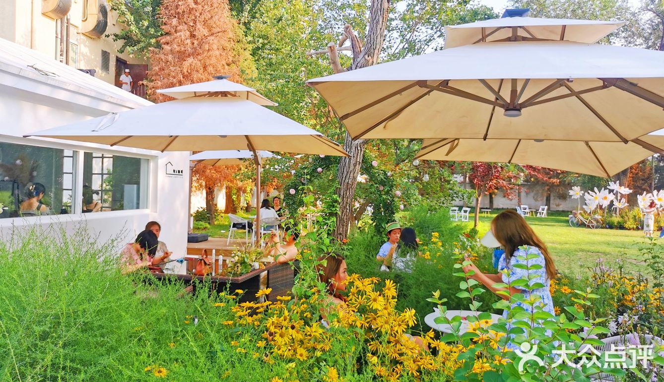 发呆一下午，出片300张