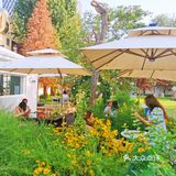 发呆一下午，出片300张