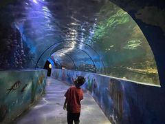 -嘉兴海底世界