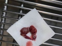 -纳吉亚猫专科动物医院博雅分院