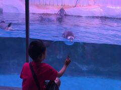 -暹罗海洋世界