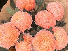 -双季花艺园艺市场(浦东店)