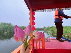 -白洋淀景区