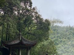 -莫干山风景区