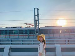 -海堤纪念公园