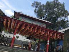 -松山湖梦幻百花洲