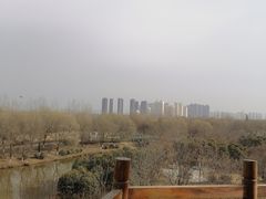 -西安浐灞国家湿地公园