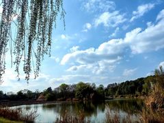 -白鹭湾湿地公园