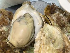 桑拿蠔-天宝食坊·啫啫煲大排档(西华路店)