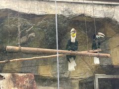-黔灵山公园