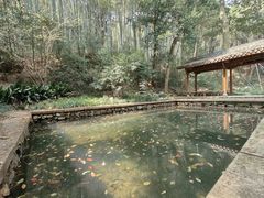 -杭州植物园
