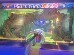 -石家庄海洋公园