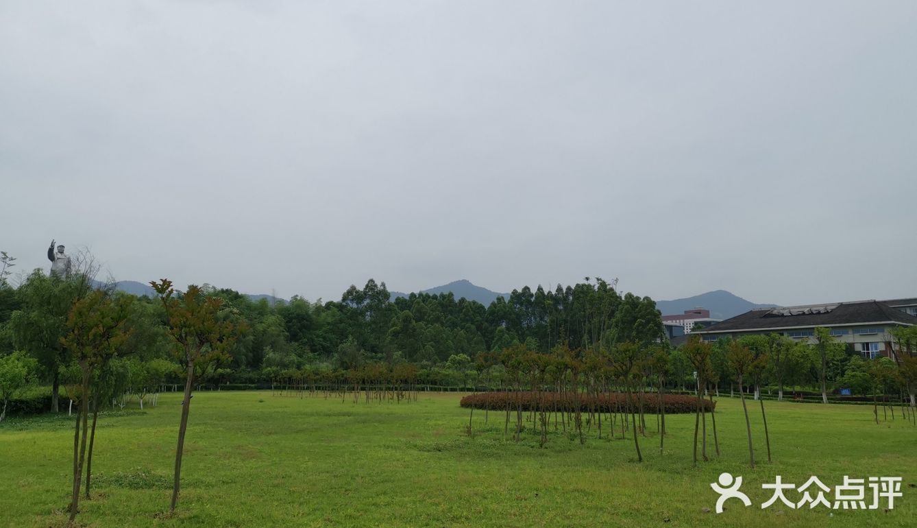 大学城的重庆医科大学。