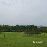 大学城的重庆医科大学。