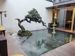 -觀芷隐轩