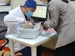 -北京观赏动物医院·24小时大型综合·猫专科·异宠专科