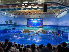 -多彩贵州城极地海洋世界