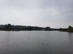 -东郊湿地公园