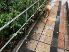 -麦当劳(西客站店)