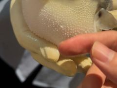 -肆月河豚·淮扬菜·湘菜(华天店)