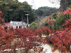-广州市帽峰山景区