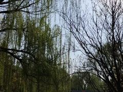 -丰台科技园生态主题公园