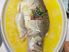 -森隆饭庄(新世界百货崇文店)