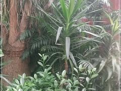 -滕头生态酒店(奉化店)