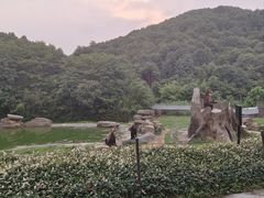 -杭州野生动物世界