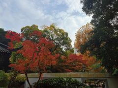 -中山公园