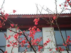 -四川大学(望江校区)