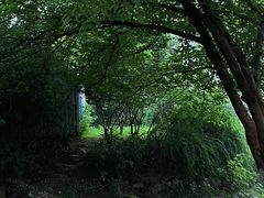 -月湖风景区