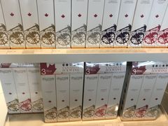 -蒙特利尔皮埃尔·埃利奥特·特鲁多国际机场