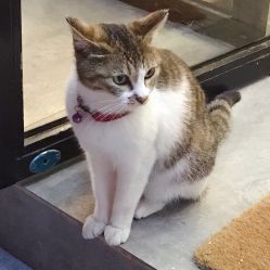 -M Nails & Beauty美甲美睫美体