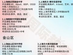 -菠萝国际教育专注Alevel·IGCSE·IB·AP·托福雅思培训辅导(静安校区)