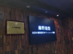 点击看大图 -藤野造型