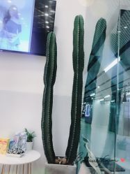 -简法造型·品牌形象店