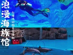 -海合安成都极地海洋公园