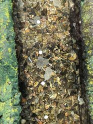 -钓虾工场·钓虾·赶海(回龙观店)