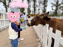 -前小桔亲子创意农场·草莓采摘·露营烧烤