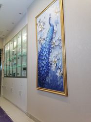 -北京楚诺医疗美容
