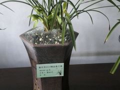 -绮园景区