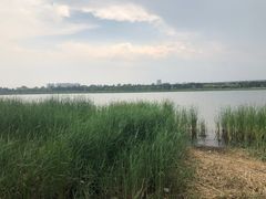-绿堤公园