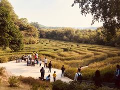 -大屏嶂森林公园