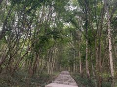 -南京金牛湖风景区