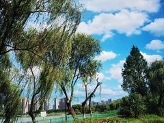 -金银湖国家城市湿地公园