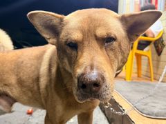 -伍哥厨房(新滘东路店)